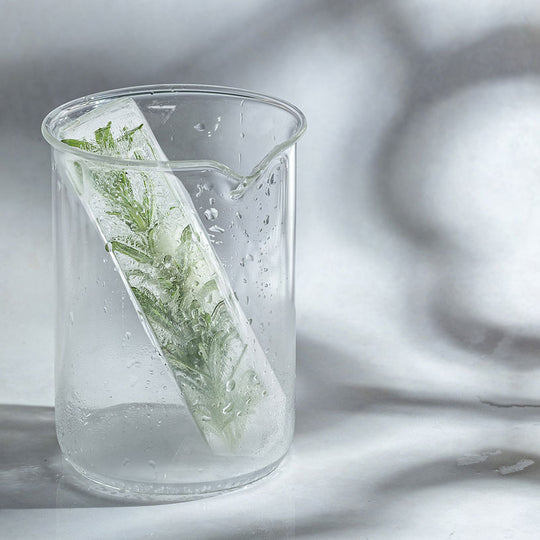 Water Bottle Ice Cube Tray