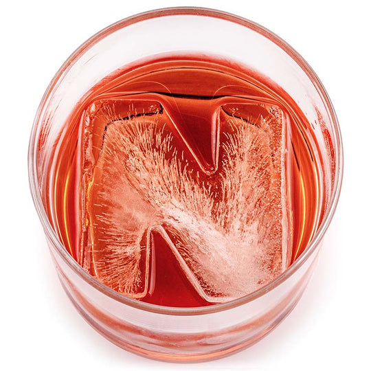 DrinksPlinks ice cube letter N in glass